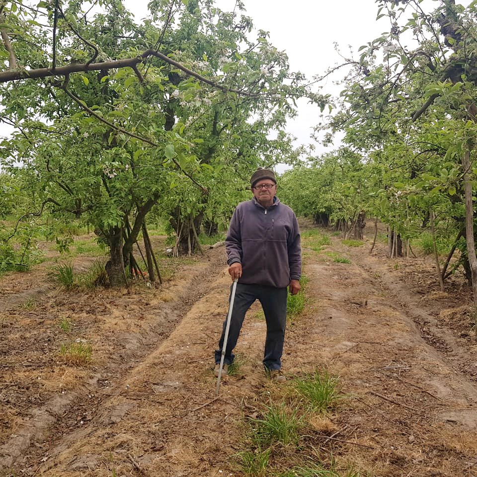 Piensa_OHiggins's tweet photo. Los profesionales de la @cdellibertador realizaron visitas a terreno en las comunas de Olivar y San Vicente de Tagua Tagua y se reunieron con productores de Manzanas y tomates para presentarles el proyecto Oportunidades de Negocios en Alimentos Funcionales. https://t.co/PIUrUzwmFB
