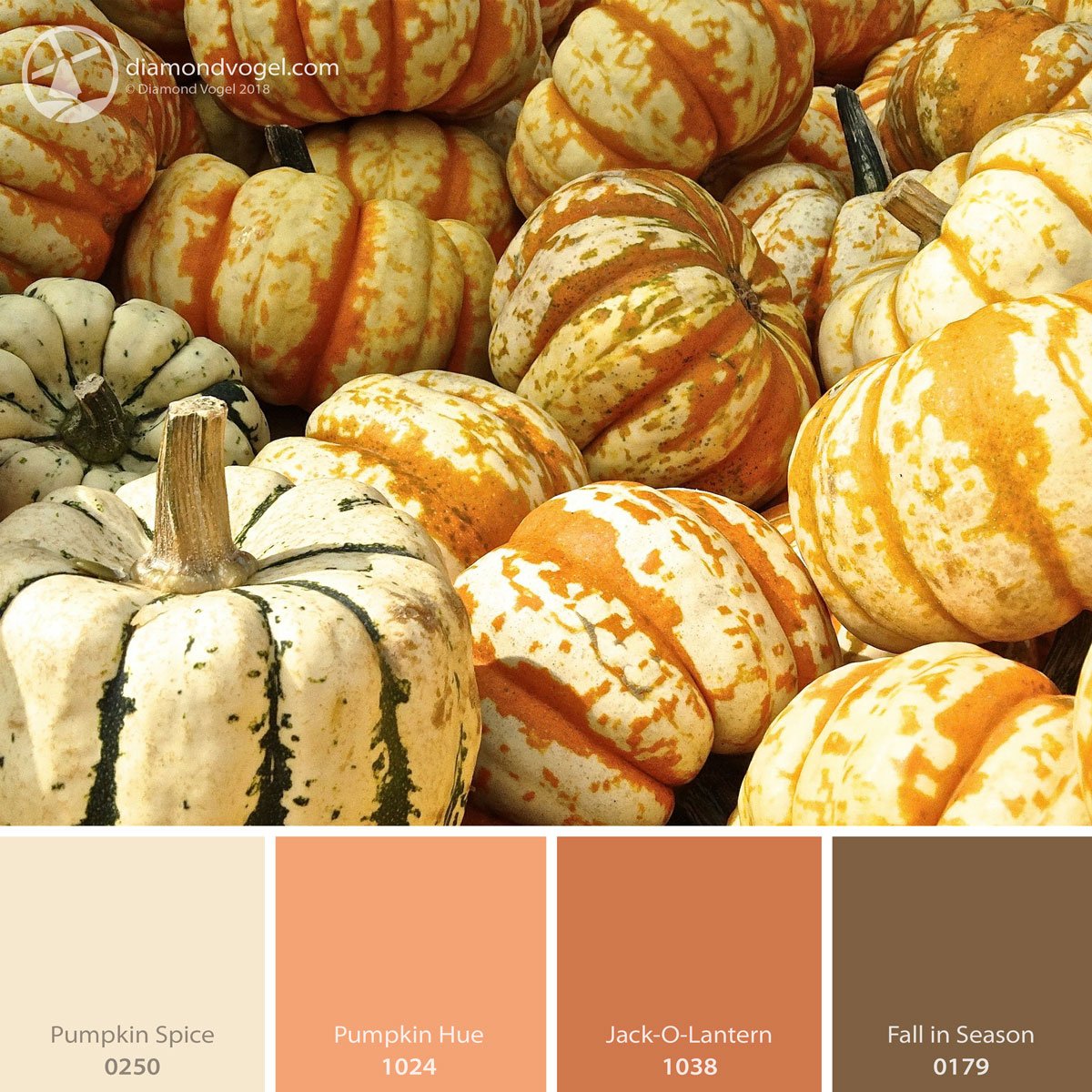 DiamondVogelPro's tweet photo. We love these pumpkin inspired colors! Happy Fall! ππ
#Pumpkin #PumpkinSpice #PumpkinHue #JackOLantern #FallInSeason #Fall #Harvest #Gourds #Color #FallColor #ColorPalette #Inspiration https://t.co/Jy5wqKZBuH