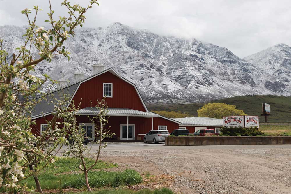 Utah Valley Magazine tweet media