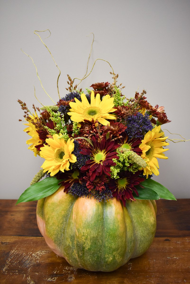 BlackjackHort's tweet photo. Fairytale pumpkins and fall flowers. Could there be a dreamier duo? There's no magic spell to turning a fairytale pumpkin into picture-perfect decor before the clock strikes midnight...just a little creativity. 

https://t.co/bhpeVbmbVW https://t.co/squgxaSfeH