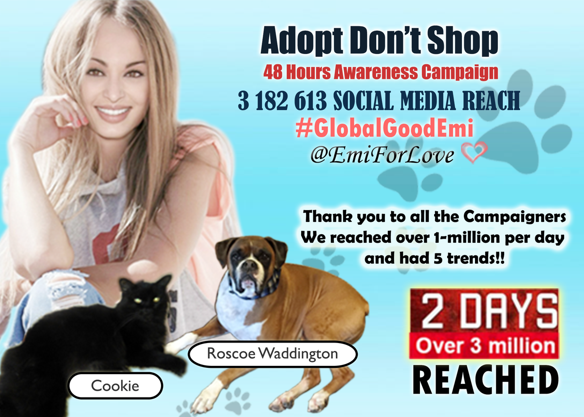 Emi tweet media