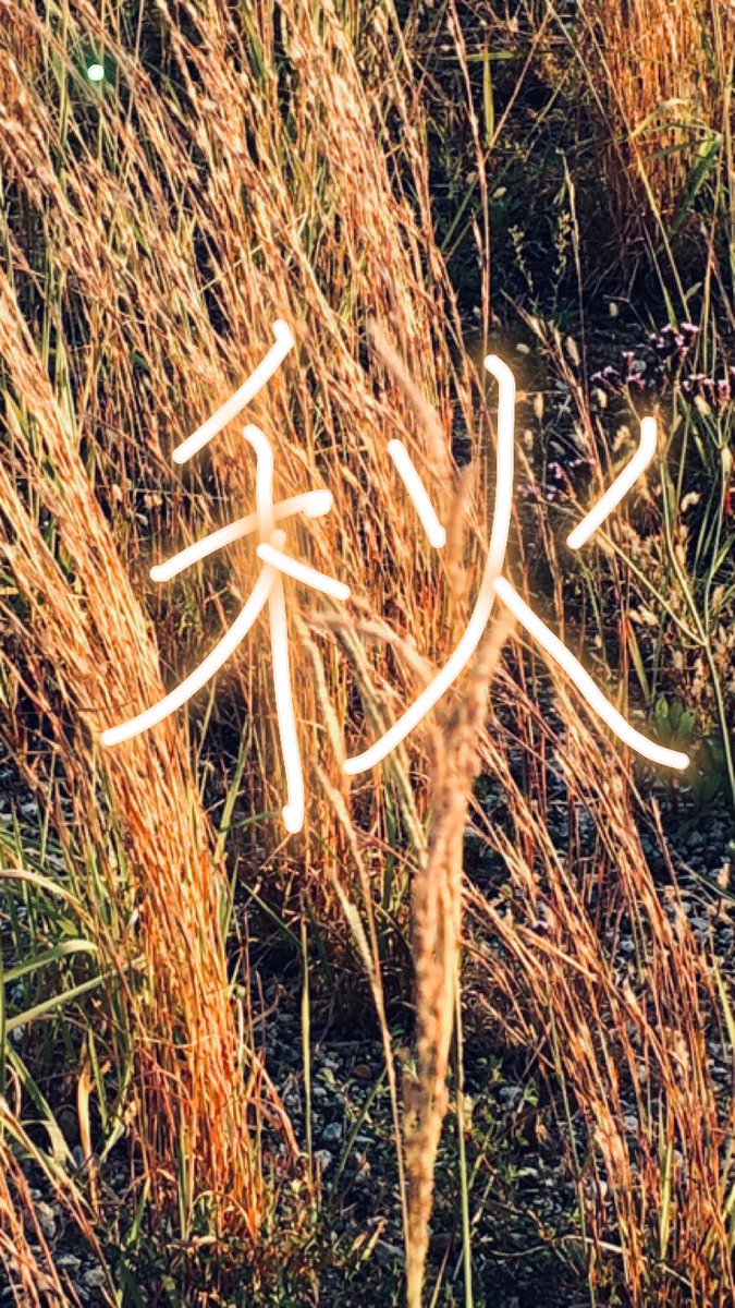 白いひつじ uhhbj49jg6ebo Twitter 白いひつじ uhhbj49jg6ebo Twitter