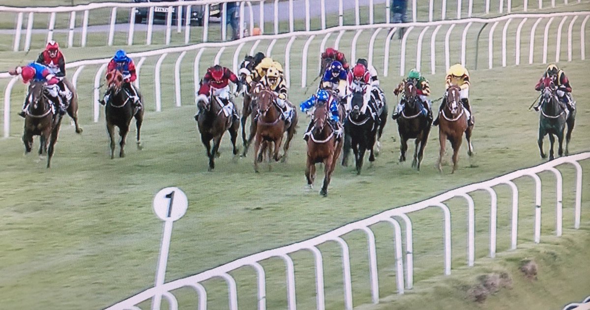 amajox's tweet photo. Congrats @amajox @charliet0dd wins #FosseWay @LeicesterRaces #YoungJohn storms home #MikeMurphy @Michael_keady #15ran #topjock๐๐๐๐พ https://t.co/ynLbSH6N95