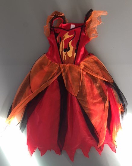 Katherine Wells tweet media