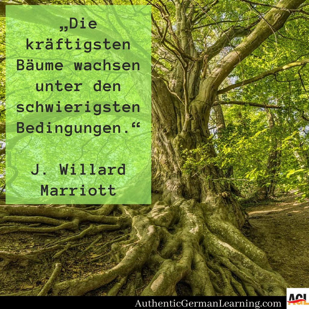 AuthGerLearning's tweet photo. „Die kräftigsten Bäume wachsen unter den schwierigsten Bedingungen.'' -JWM

Du bist ein starker Baum!

“The strongest trees grow under the most difficult conditions.''

YOU are a strong tree!

#GermanQuote #Zitat #LearnGerman #Deutschlernen #LerneDeutsch #LearningGerman https://t.co/YX9O6UrSP7
