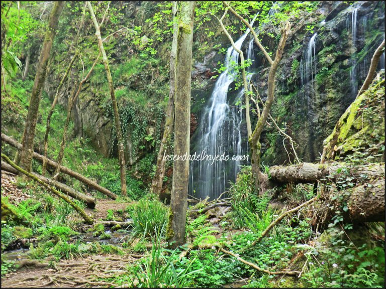 TurismoAsturias's tweet photo. Una ruta guapa para cuando mejore un poco el tiempo... cascadas de Guanga https://t.co/gWe4MV6WLp vía @sendadelhayedo https://t.co/RXLUETuYyV