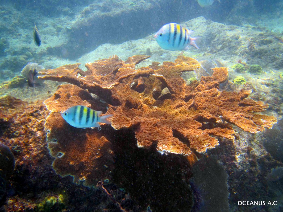 MAR Fund tweet media