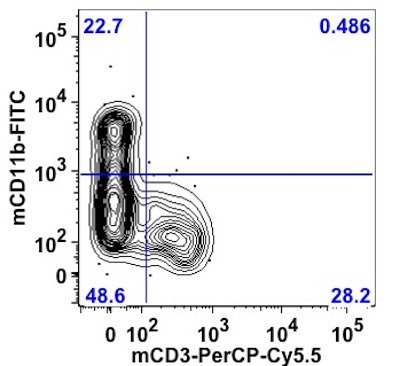 shop Culture Matters: How Values Shape Human