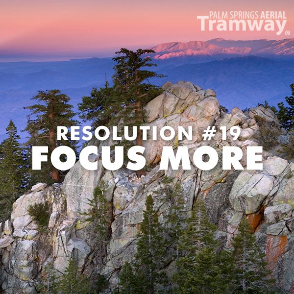 PSTramway's tweet photo. Focus more on the beauty at the Palm Springs Aerial Tramway at 8,500 feet.
https://t.co/0I5OoXTMLF
#PSTramway #PalmSpringsAerialTramway
#FocusMore https://t.co/9EgmzAidv6