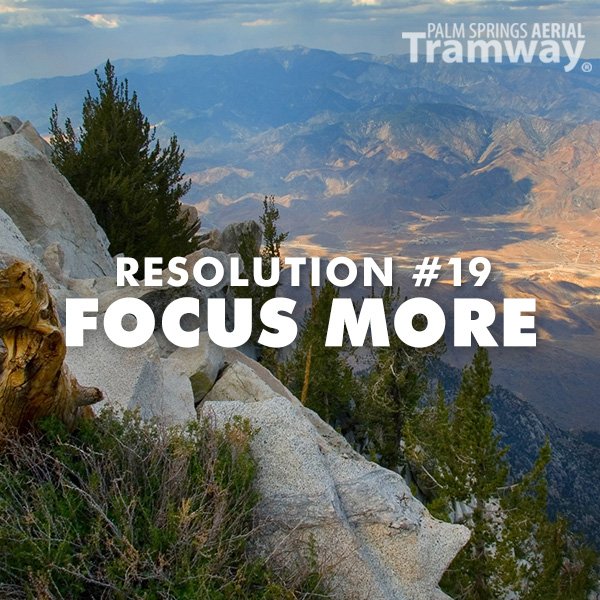 PSTramway's tweet photo. Focus more on the beauty at the Palm Springs Aerial Tramway at 8,500 feet.
https://t.co/0I5OoXTMLF
#PSTramway #PalmSpringsAerialTramway
#FocusMore https://t.co/9EgmzAidv6