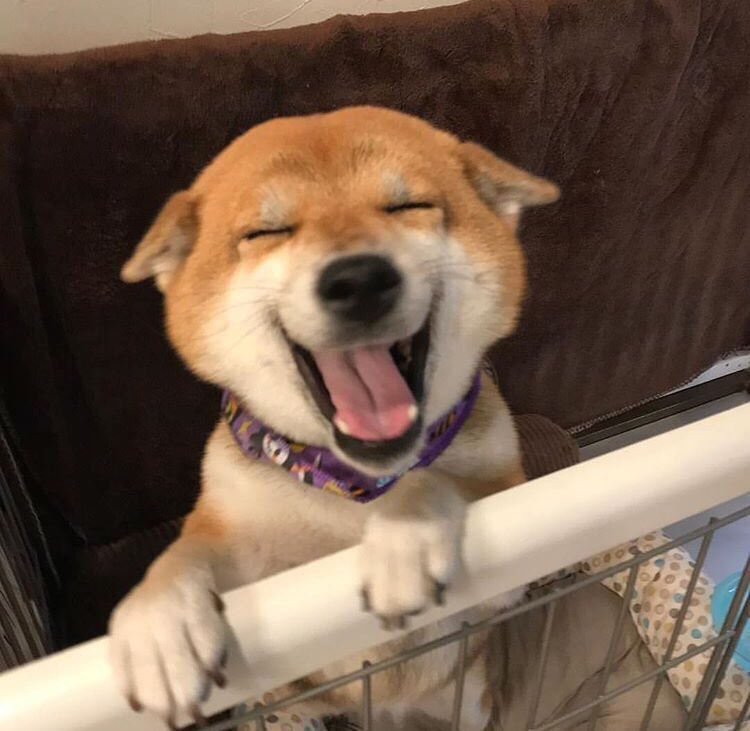 LotusNightcore's tweet image. A hot girl can get 1000 likes, how many can our good girl get?