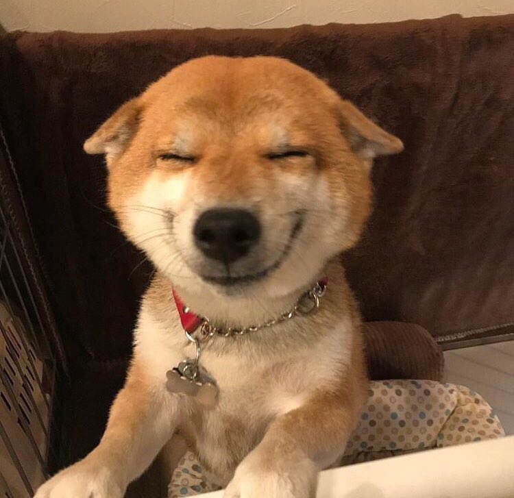 LotusNightcore's tweet image. A hot girl can get 1000 likes, how many can our good girl get?