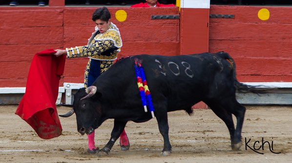 28.10 Acho/Lima/Perú

Imágenes de la tarde por:
#ManuelGonzálezDelgado
’Kchi’ / <a href="/Mundotorocom/">mundotoro.com</a> 
(4 de 5)