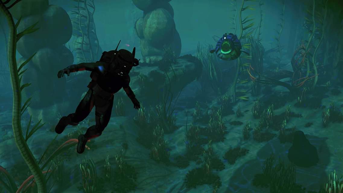 himshieland's tweet photo. @NoMansSky
@hellogames Collect an "alluring specimen" they said, "what's the worst that could happen" they said? Answer =HORRORS! ⚠#TheAbyss https://t.co/0xGj6vTlPq
