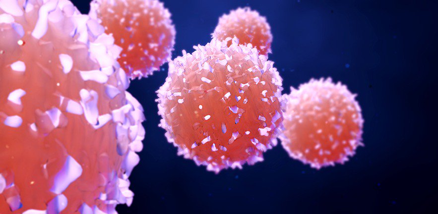 A £10 million interdisciplinary collaboration to tackle the most challenging of cancers includes a role for Dr Su Metcalfe, Founder of <a href="/LIFNanoRx/">LIFNanoRx</a>, a venture supported by Accelerate Cambridge. Read more bit.ly/2RnyLP8 <a href="/CamSocVent/">Cambridge Social Ventures</a> <a href="/CRUKCamCellBio/">CRUK Cambridge Centre: Fundamental Cancer Biology</a> <a href="/Cambridge_Uni/">Cambridge University</a>