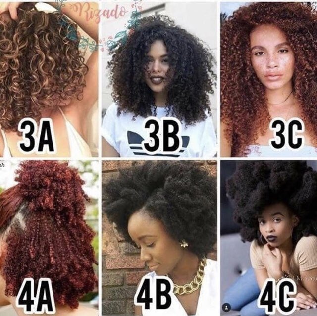 botanicfulani's tweet photo. What is your beautiful hair type? #botanicfulani #blackgirlmagic 
#mynaturalhairisdope #naturalhairdreams #naturalchixs #4chairchicks #healthy_hair_journey #protectivestyles #kinky_chicks1 #naturalhairloves #africanaturalistas #amazingnaturalhair #kinks2curls #curltribe https://t.co/xtF3Be1kSa