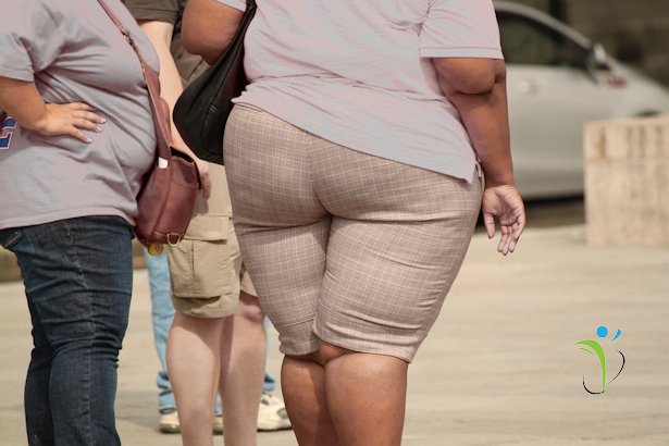 weightlossthing's tweet photo. 4 Nutritional Gaps in the Typical American Diet – An Imbalanced Nation https://t.co/ZYV1qbGegj #USA #obesity #weightloss https://t.co/zsgyLPlNtv