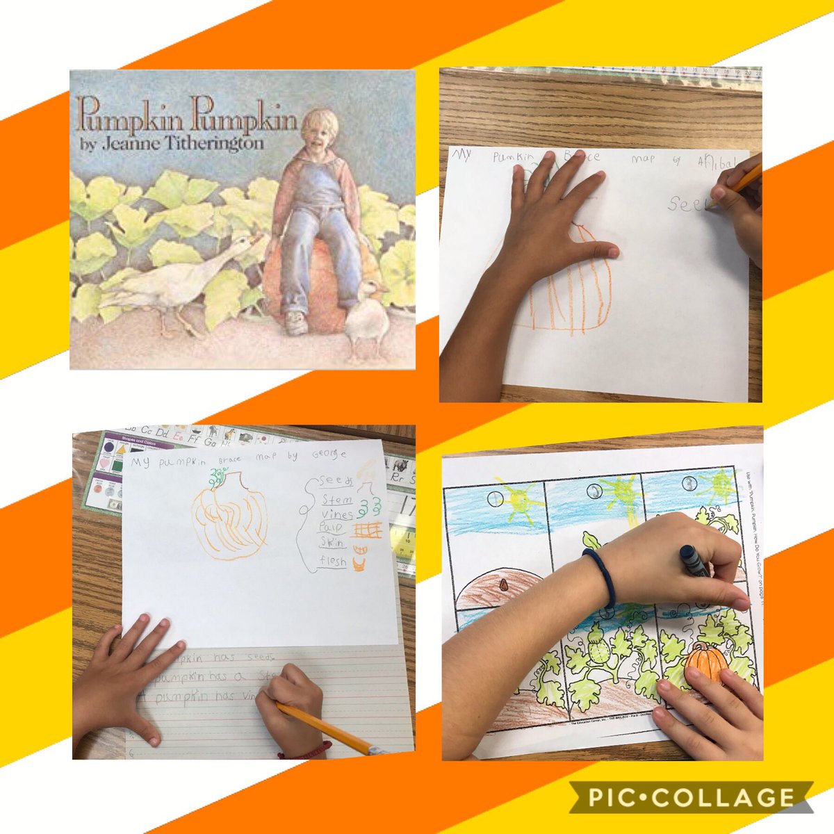 Dundeekiddos's tweet photo. Day 1 of Pumpkin Research Week ๐The Life cycle of a Pumpkin #flowmap #bracemap @VillasElem https://t.co/iYbE3oKfgM