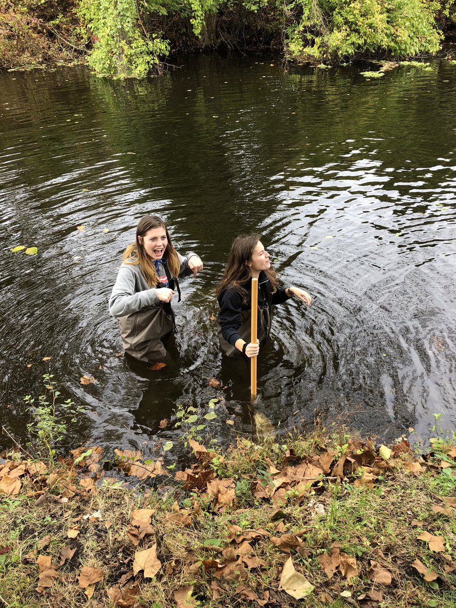 IsabelDeWalt's tweet photo. Today we recorded the data from last weeks river lab. #ees152 https://t.co/HFSw13J8Vn