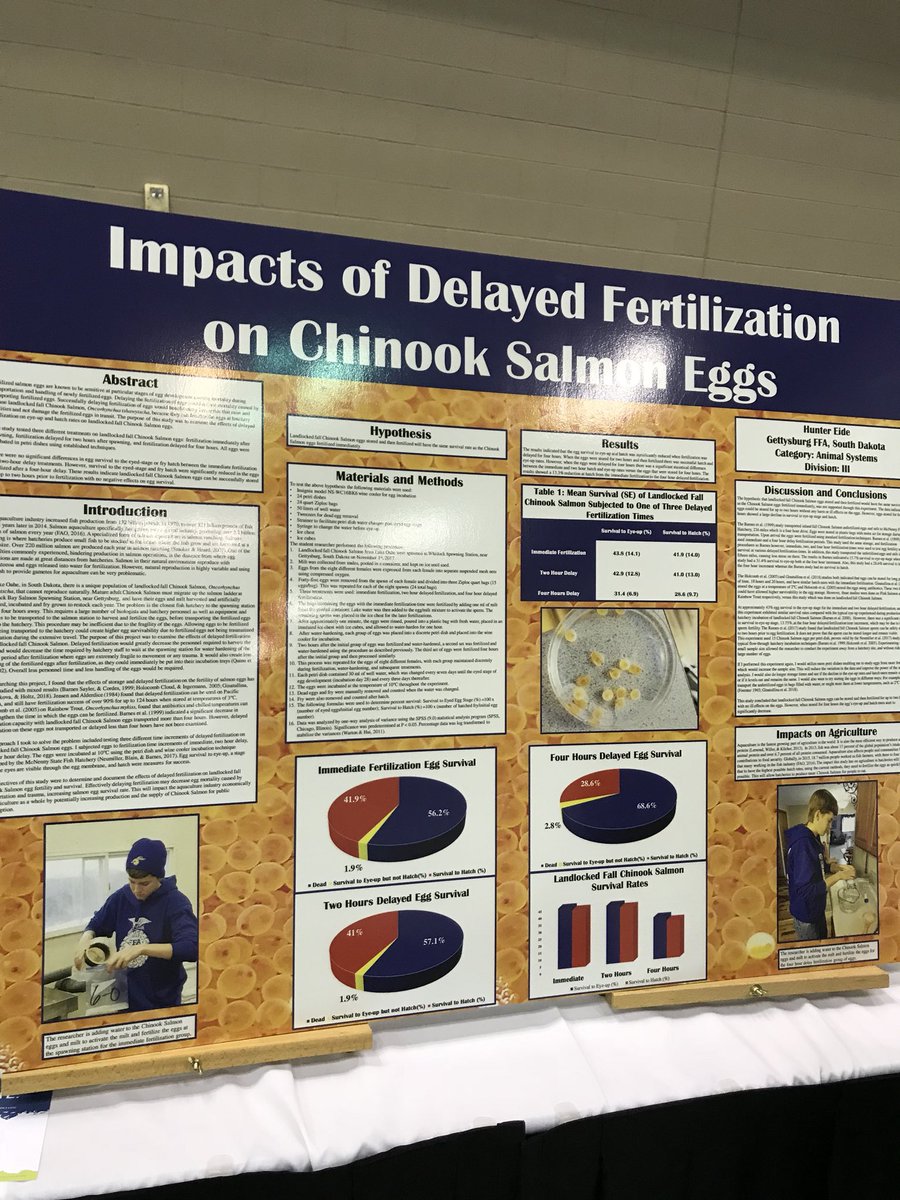 BellarRachel's tweet photo. Will landlocked fall Chinook Salmon eggs that are stored and then fertilized have the same survival rate as those eggs that are fertilized immediately? Read the poster to find out! @KSUAgEd #KSUAgEd https://t.co/BVIfp9Ch56