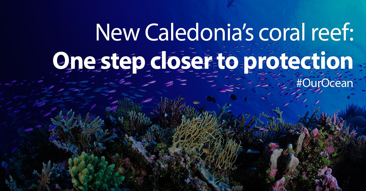 Today at #OurOcean, President Philippe Germain of New Caledonia committed to protect 200,000 - 400,000 sq km of their marine waters by the end of 2019 <a href="/bertarelli_fdn/">Bertarelli Foundation</a> #OurOcean2018