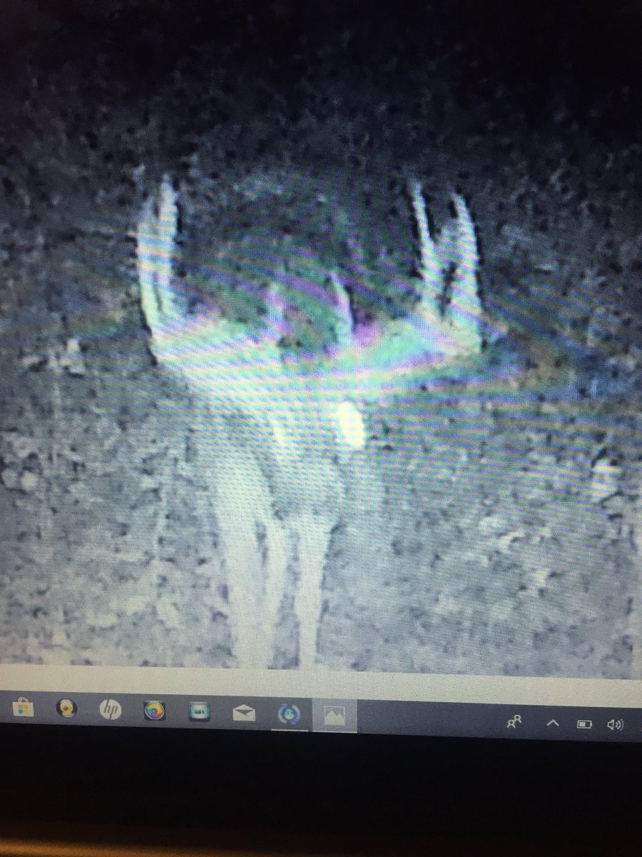 Tjam87's tweet image. Pulled a nice one and a couple other nice pics