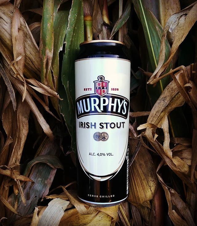 #Murphy's #Irish #Stout by @heinekenireland

#murphys #murphysstout #murphysirishstout #irishstoutbeer #irishstout #irishbeer #murphysbrewery #heinekenireland #IrelandMade #irish #drystout #beer #beers #stoutbeer #instabeer #beergeek #beertime #darkbeer #beerporn #brewery #g…