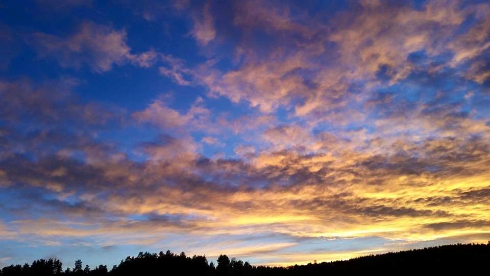 Dilyanka4's tweet photo. #sky #sun #sunsett #fotography #foto #landscap #nature #clouds https://t.co/SvAhjwMSh7