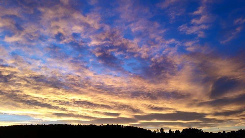 Dilyanka4's tweet photo. #sky #sun #sunsett #fotography #foto #landscap #nature #clouds https://t.co/SvAhjwMSh7