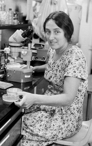 Lynn Margulis (born Lynn Petra Alexander) graduated from the  @UChicago at age 19 with a degree in Liberal Arts, then continued to earn a masters in genetics and zoology  @UWMadison. She later earned her PhD at  @UCBerkeley. 2/