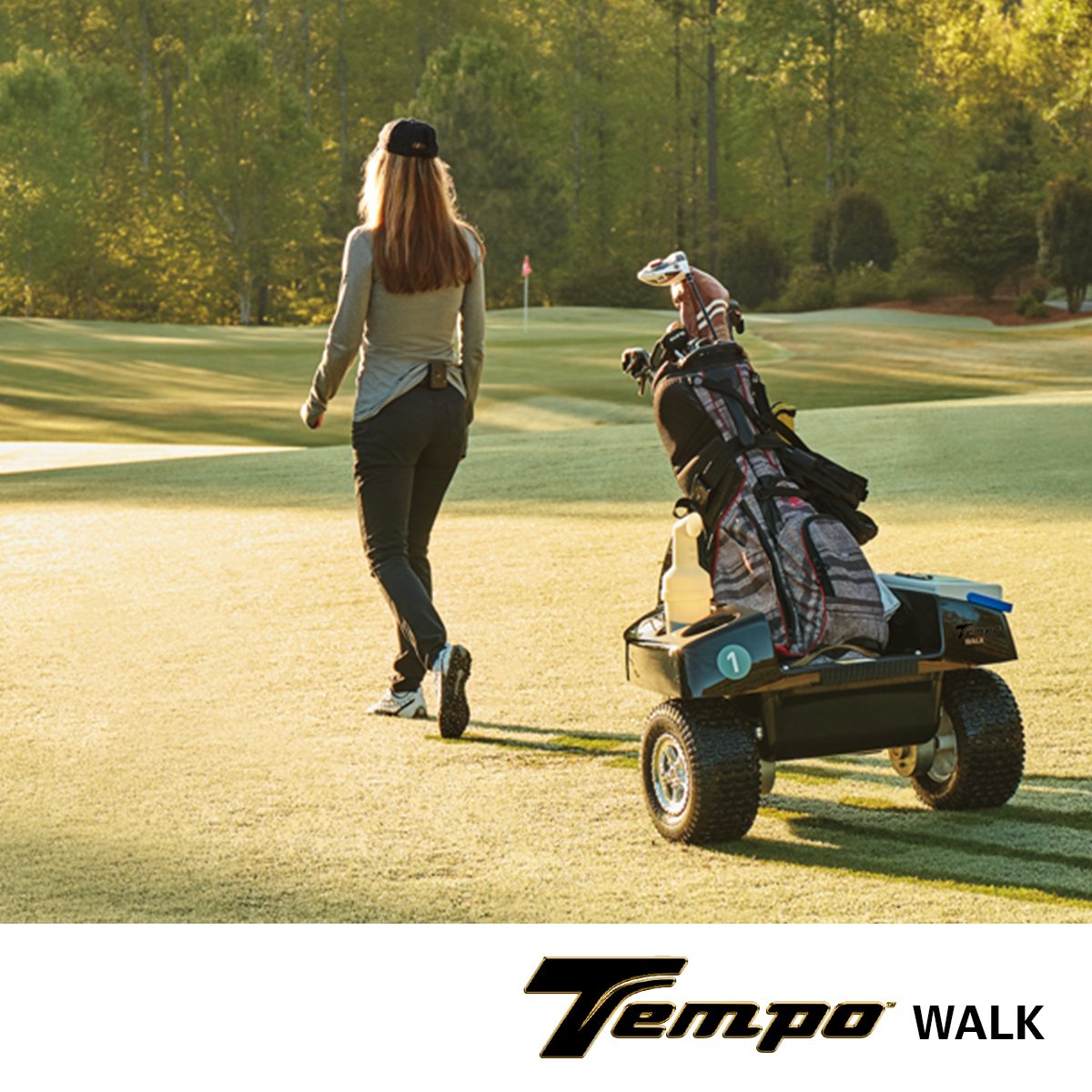 tempo walk club car