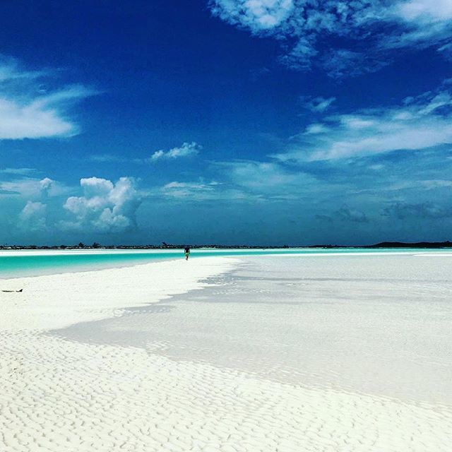 Walking to work has its advantages 💦🌴.
.
📸: @theconchhouselittleexuma
.
.
.
#itsbetterinexuma #mondaymotivation #itsbetterinthebahamas #exuma #sandbar #moriahharbour #beach #secludedbeach #beachdays #bahamasbeach #familyadventures #oceanfrontvilla #girlstrip #pristinebeach