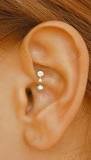 LalobeP's tweet photo. Body Piercings ~~Body Piercings ~~
         Daith Piercing      $57
         Couch Piercing    $55
         Rook Piercing      $55
         Tragus Piercing   $55
         Helix Piercing      $55
         Nostril Piercing    $55

+ cost of the jewerly   $20 https://t.co/jdTP5DyjRN