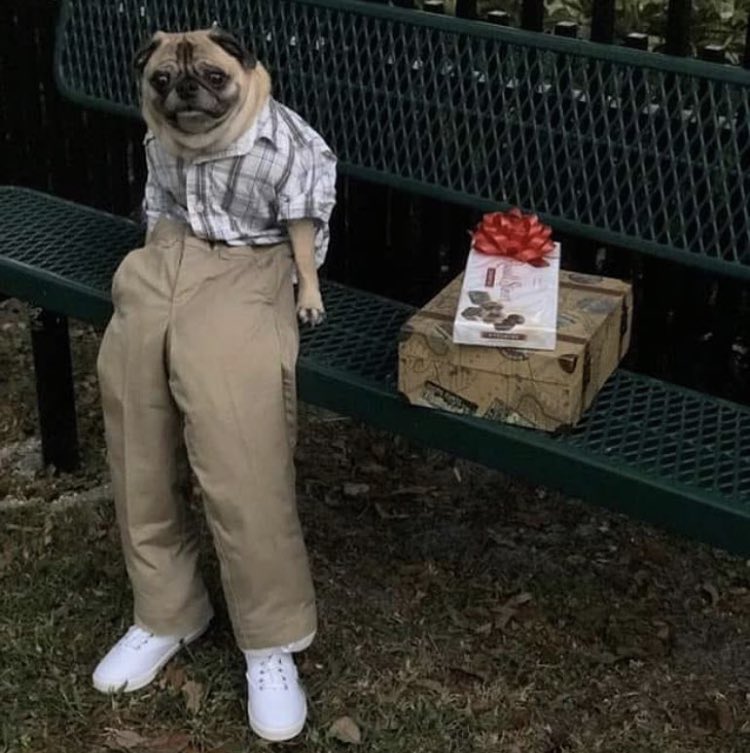 garyfromteenmom's tweet photo. lets get this heckin bread https://t.co/bNsdincPtj