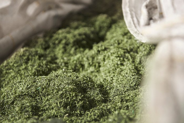 DuurzaamActueel's tweet image. Het Nederlandse Royal Grass gaat als eerste kunstgrasproducent ter wereld kunstgras van klanten dat aan vervanging toe is inzamelen en recyclen.
duurzaam-actueel.nl/kunstgrasprodu…
#kunstgras #duurzaam #gras