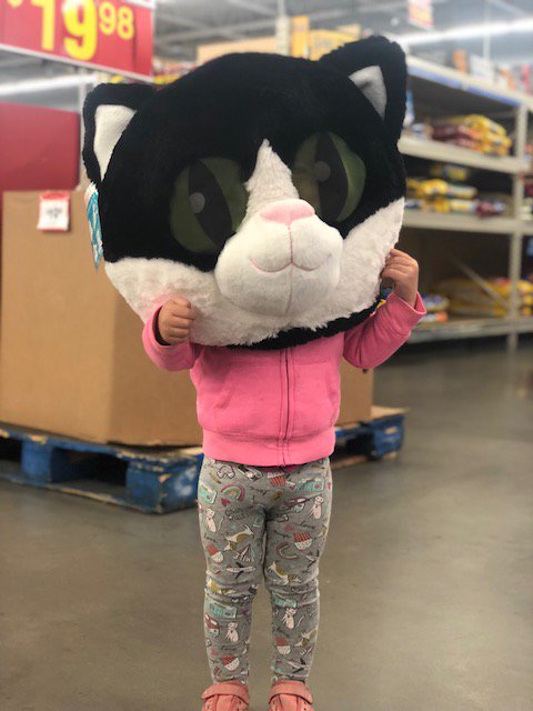 CanmoreRealtor's tweet photo. Are you ready for Halloween? This little one sure is! https://t.co/prc4aBkcJZ