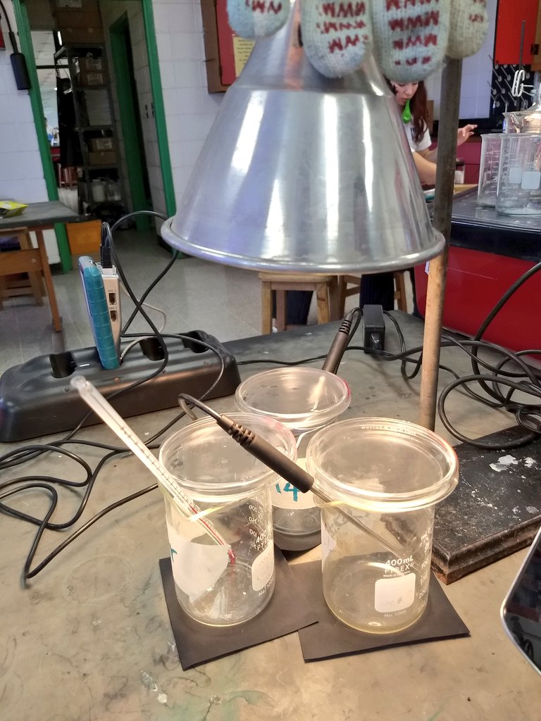 swansonteach's tweet photo. Measuring the effects of methane, CO2 and air on "atmospheric" temperature! #ibiology #greenhouseeffect #ibbbiologyteachers https://t.co/DrKvyOhemO