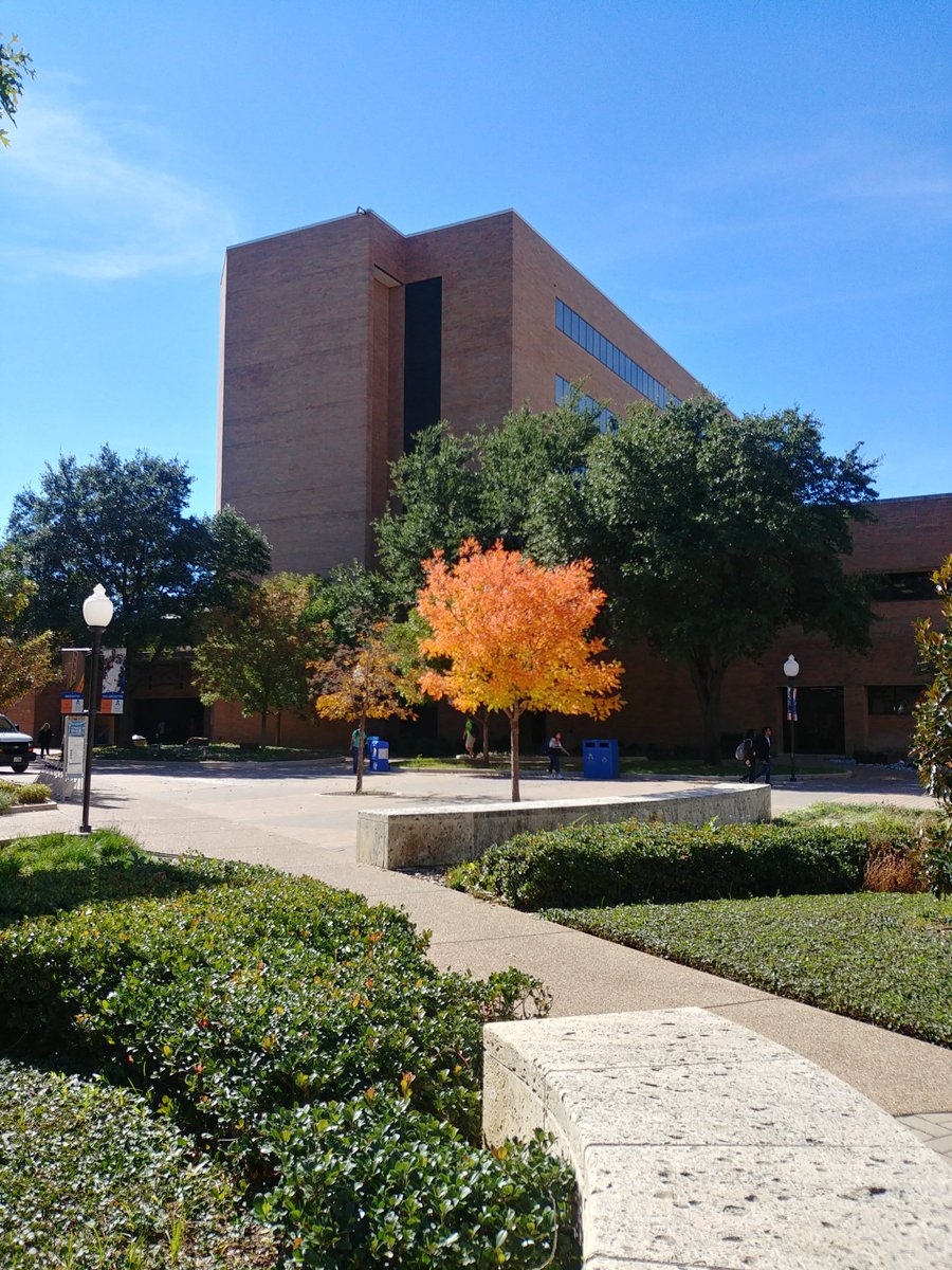 y_siddiqi's tweet photo. @UTAShorthorn
A small piece of Fall in midst of all the greens and blues... https://t.co/vjfpwIy6dv