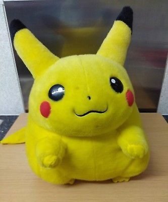 pikachu stole my credit card and called me a bitch tweet media