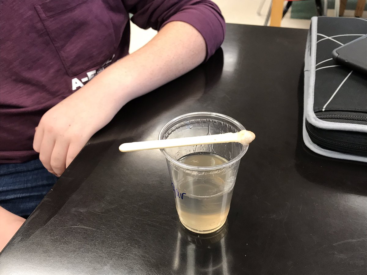 TracySilvis's tweet photo. Isolating DNA from strawberries - just like in a crime lab or a DNA testing website - using everyday household ingredients.  Students have the instructions and could do this at home with other fruits or vegetables.  #JSAMSComeAlive #7thgradescience #NIH https://t.co/EfL94QKslz
