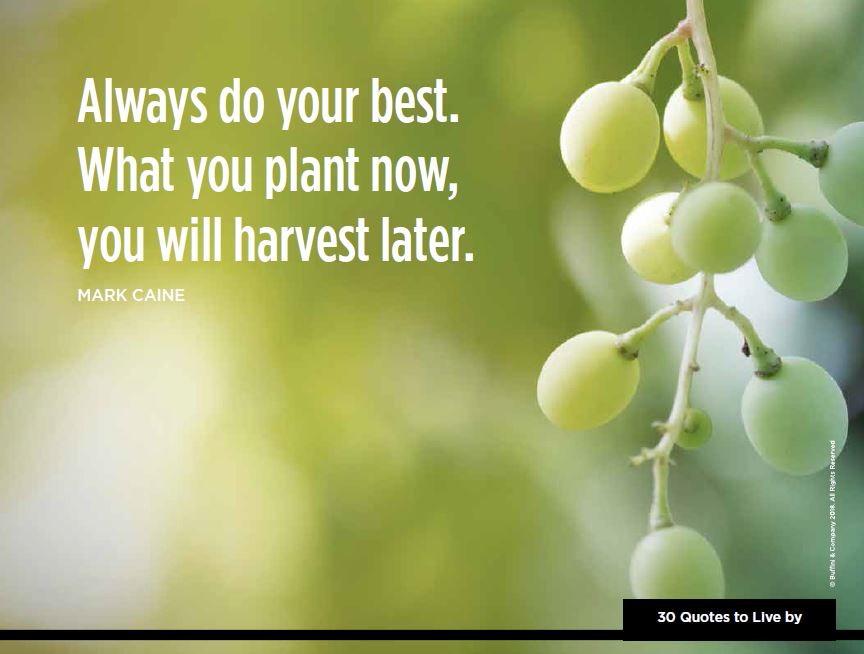 Michelle Sneidman (msneidmanremax) Twitter