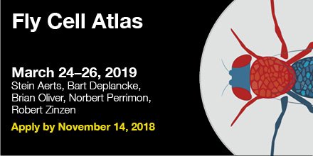 Janelia Conferences (@janeliaconf) on Twitter photo A conference on new tools and methods in single-cell genomics, transcriptomics, and epigenomics for building a comprehensive #Drosophila #FlyCellAtlas. Apply at bit.ly/2PyiOIm.
<a href="/HHMIJanelia/">HHMI | Janelia</a> <a href="/FlyCellAtlas/">Fly Cell Atlas</a> <a href="/PerrimonLab/">Perrimon Lab</a> @BartDeplancke @steinaerts <a href="/nervousfly/">Robert Zinzen</a> A conference on new tools and methods in single-cell genomics, transcriptomics, and epigenomics for building a comprehensive #Drosophila #FlyCellAtlas. Apply at bit.ly/2PyiOIm.
<a href="/HHMIJanelia/">HHMI | Janelia</a> <a href="/FlyCellAtlas/">Fly Cell Atlas</a> <a href="/PerrimonLab/">Perrimon Lab</a> @BartDeplancke @steinaerts <a href="/nervousfly/">Robert Zinzen</a>