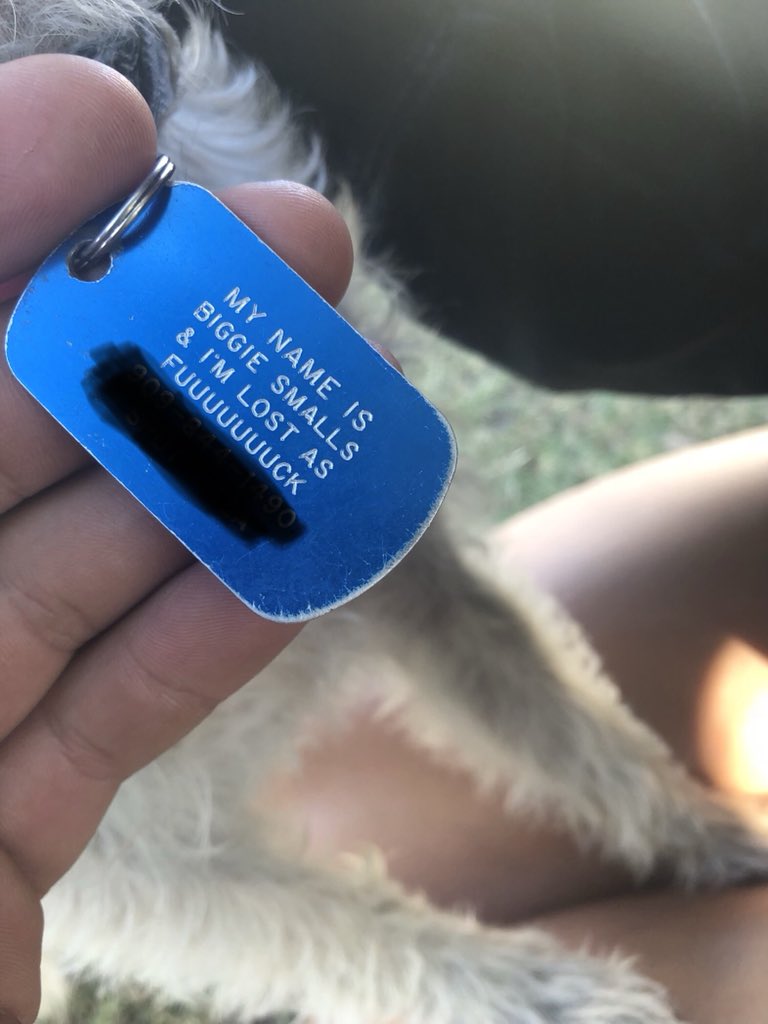 AlyssaDimass's tweet photo. here’s a little piece of my weekend https://t.co/ejDvVfzmSC