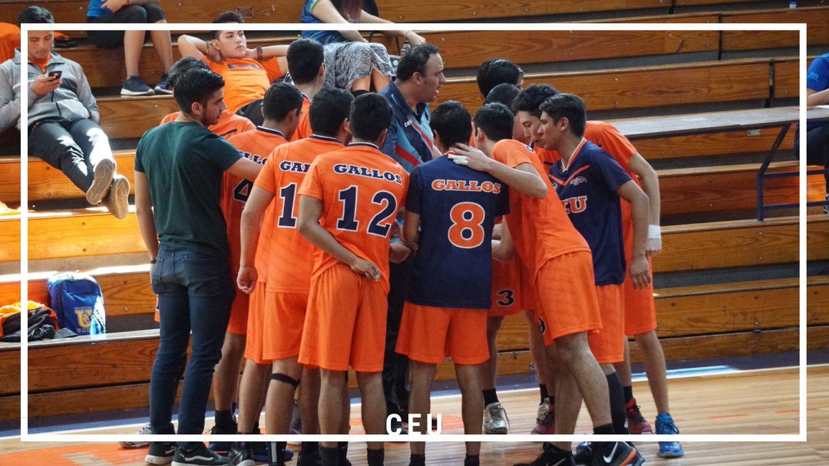 CEU_monterrey's tweet photo. CEU 🐓 VS UANL🐯
Domingo, 29-10-2018 VOLEIBOL VARONIL
¡SI LOS CONOCES ETIQUETALOS!
BIEN JUGADO GALLOS!
#ceumty #gallosdelceu #gimnasioceu #orangepride #sienteelpoder https://t.co/eHUOn1Dbt2