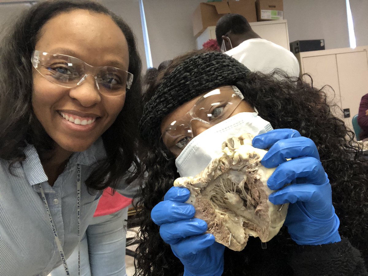 shantelreed11's tweet photo. Hands-on learning. #sheepheart #cardiaclab https://t.co/eWx5LEOURL
