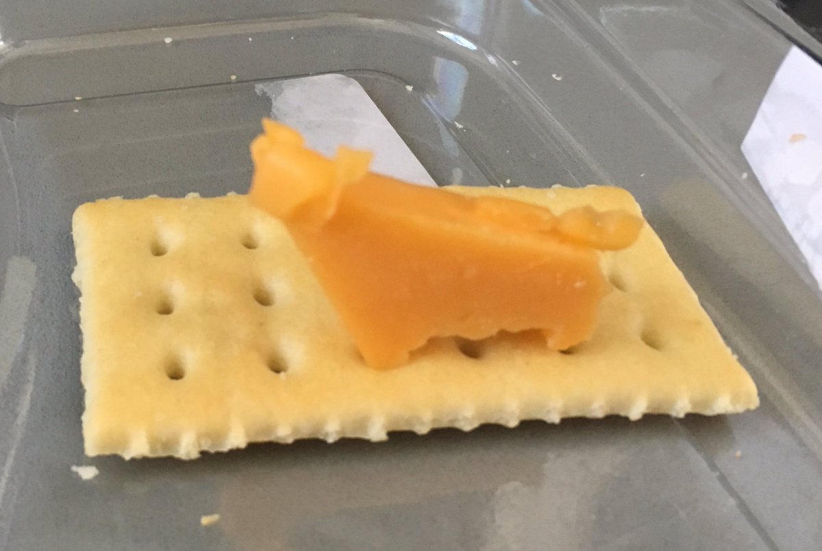 Most people might only see a piece of cheese on a cracker... #shapeshifter #hatsofftothebull #iateitall #cheezypost