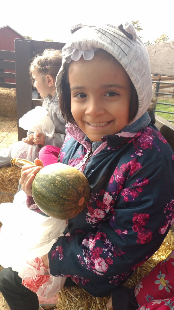 VFrench_Central's tweet photo. "P" is for pumpkins!
#ASDCommittedToExcellence #Kindergarten #pumpkinsforeveryone https://t.co/gkvMnc5Y4D