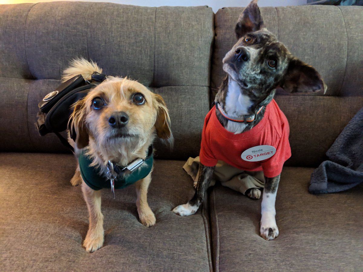 31 days of #dogoween and today's costumes will always be my favorite! Matching their moms!