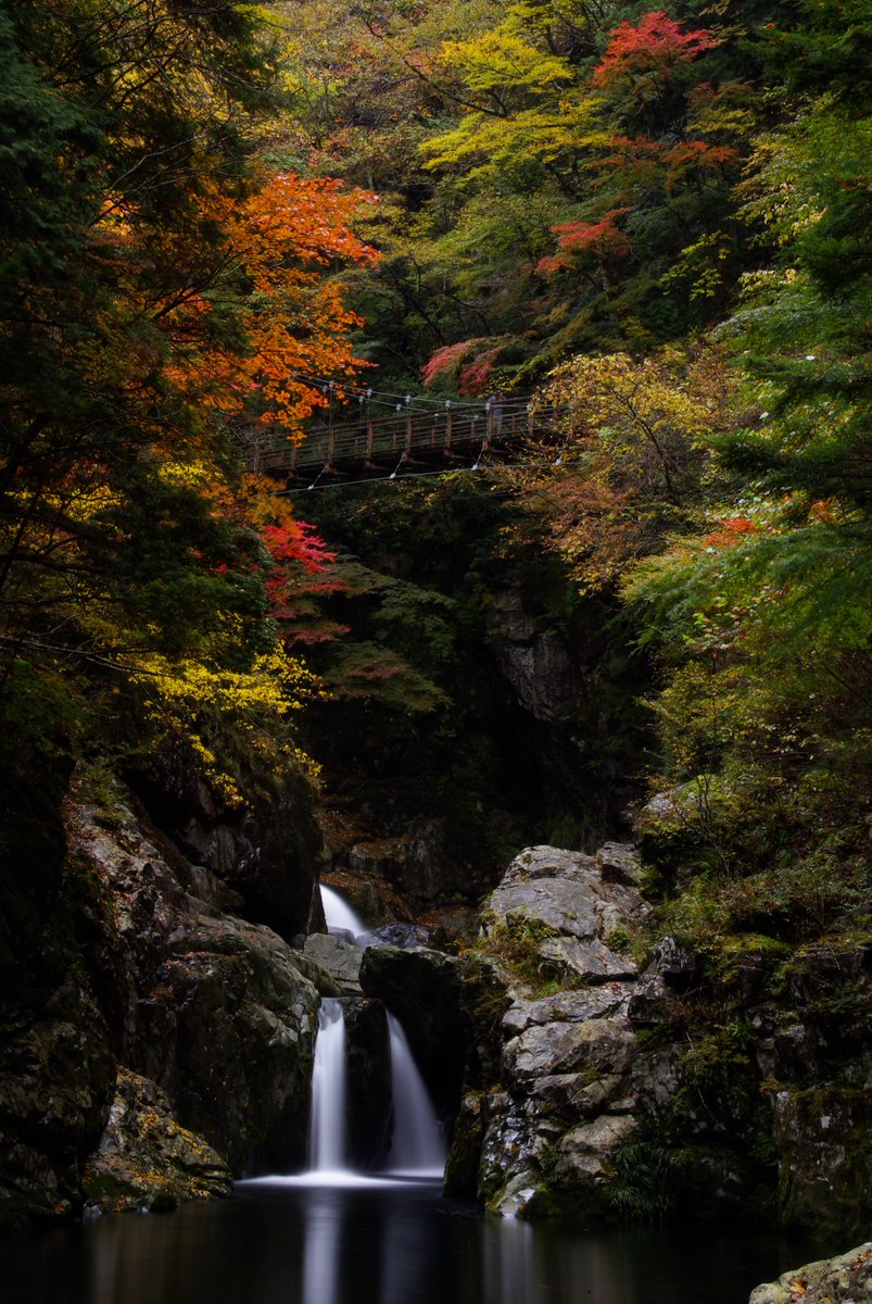 せんとくんのつぶやき 奈良県公式 در توییتر 奈良県景観資産のご紹介 紅葉特集第2弾 みたらい渓谷を眺望できるみたらい遊歩道 みたらい渓谷沿いの歩道から眺める迫力ある滝と美しい紅葉は まさに絶景 詳細は T Co Wz4zgvqktj 奈良県景観資産 天 せんとくんのつぶやき 奈良県公式 در توییتر 奈良県景観資産のご紹介 紅葉特集第2弾 みたらい渓谷を眺望できるみたらい遊歩道 みたらい渓谷沿いの歩道から眺める迫力ある滝と美しい紅葉は まさに絶景 詳細は T Co Wz4zgvqktj 奈良県景観資産 天