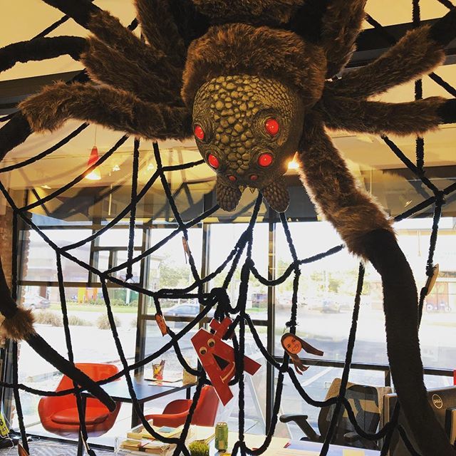 MathnasiumST's tweet image. Happy Halloween week! 👻Flat Ace and our instructors are tangled in our math web! Stop by, do some some math, and get a treat! 🎃🕷🕸🧙‍♀️🧛🏻‍♂️ #Mathnasium #mathnasiumofsouthtampa #halloween #flatace #notricksjusttreats ift.tt/2CO094B